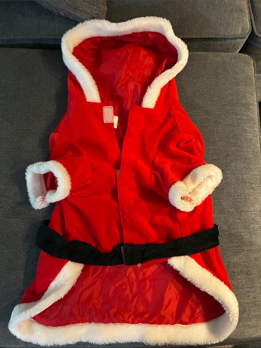✴️🟡Festive Red Hooded Dog Coat with White Trim